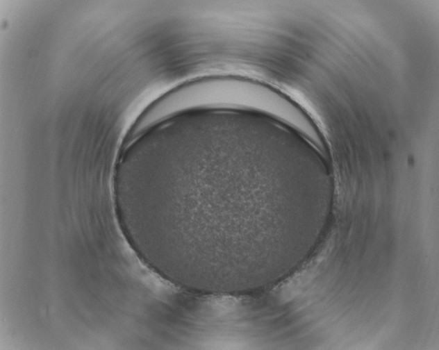 X0000089700943200706211314