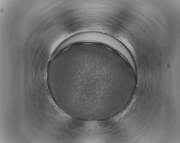 X0000089700944200706211314