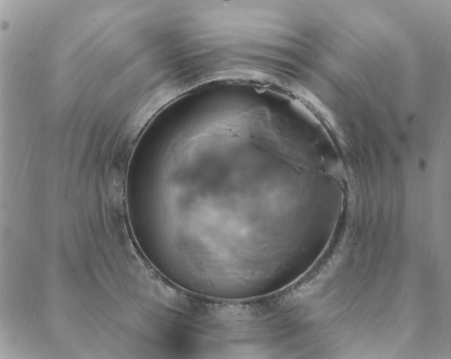 X0000089700945200706211314