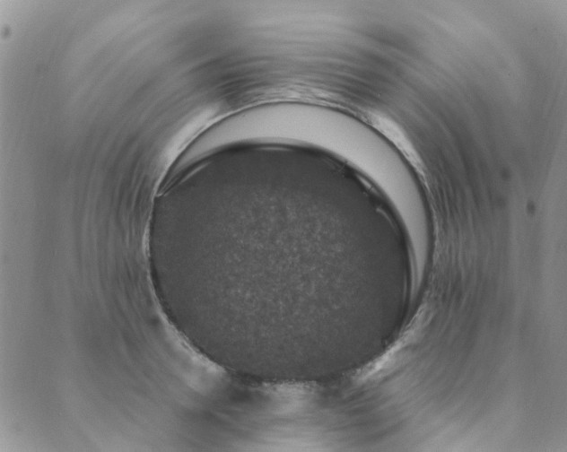 X0000089700946200706211314