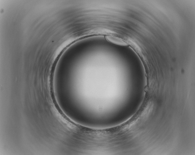 X0000089700947200706211315