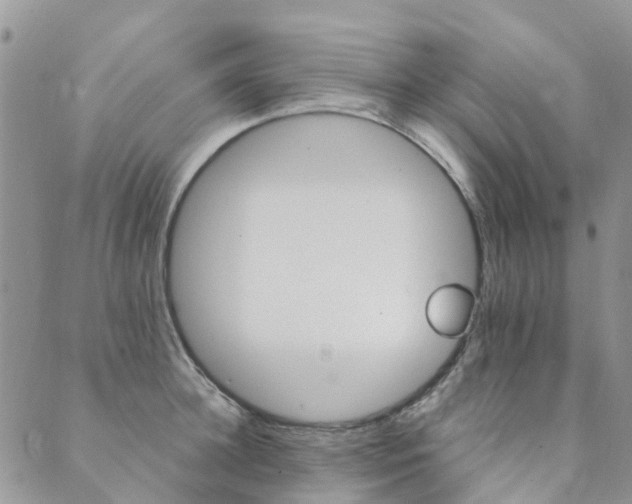 X0000089700948200706211315