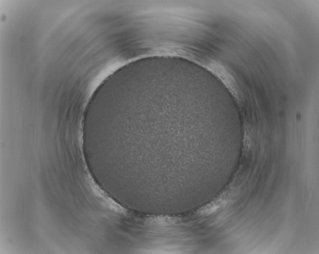 X0000089700950200706211315