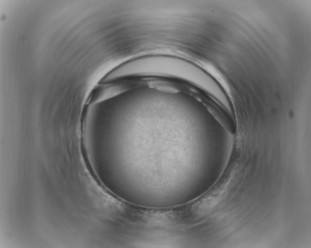 X0000089700951200706211315