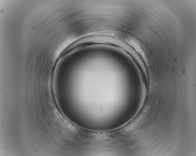 X0000089700952200706211315