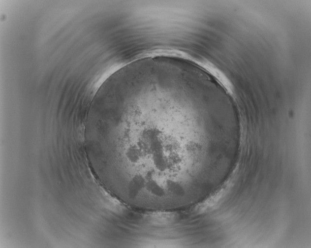 X0000089700953200706211315