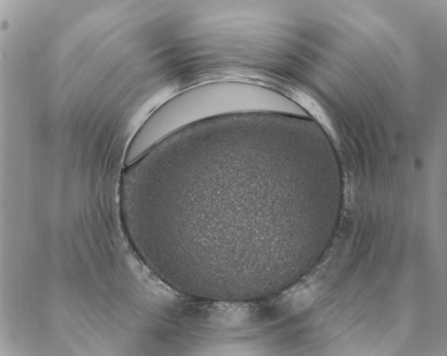 X0000089700954200706211315