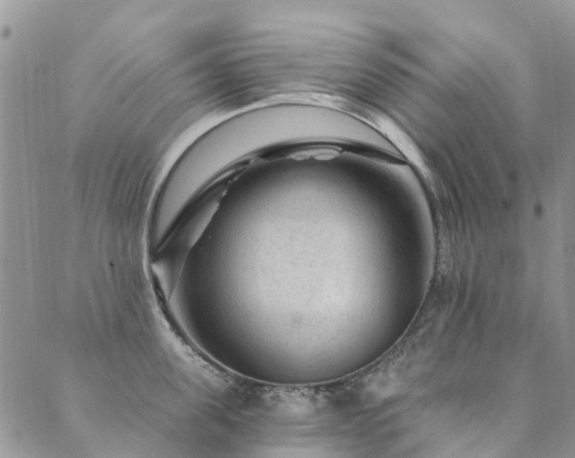 X0000089700955200706211315