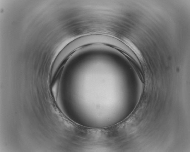 X0000089700956200706211315