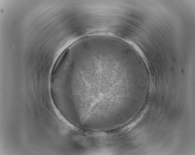 X0000089700957200706211315