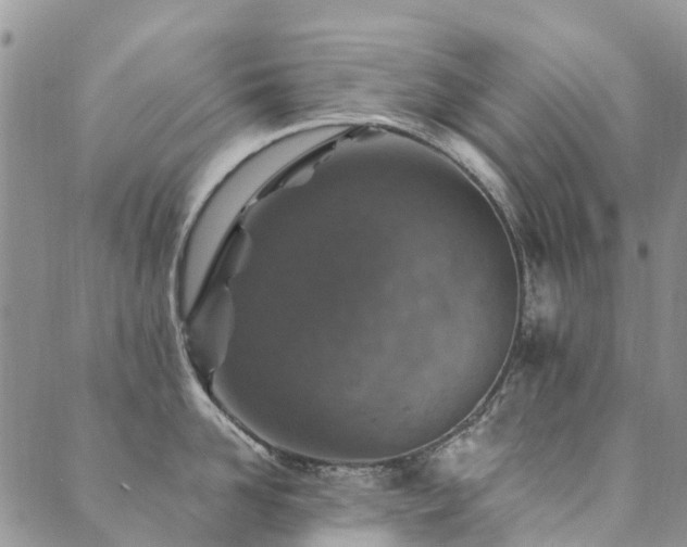 X0000089700958200706211315