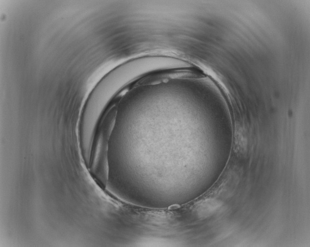 X0000089700959200706211315