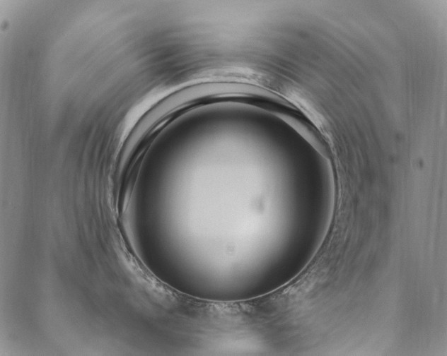 X0000089700960200706211315