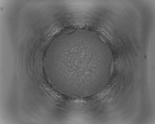 X0000089700961200706211314