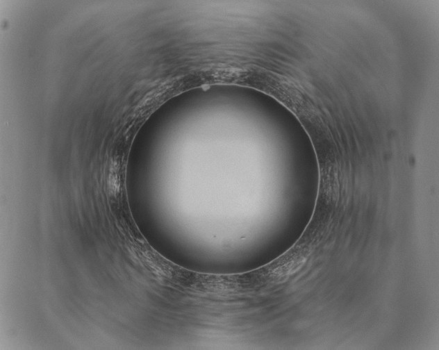 X0000089700962200706211314