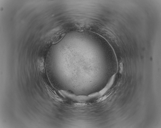 X0000089700963200706211314