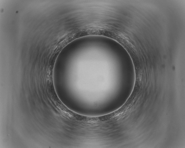 X0000089700964200706211314