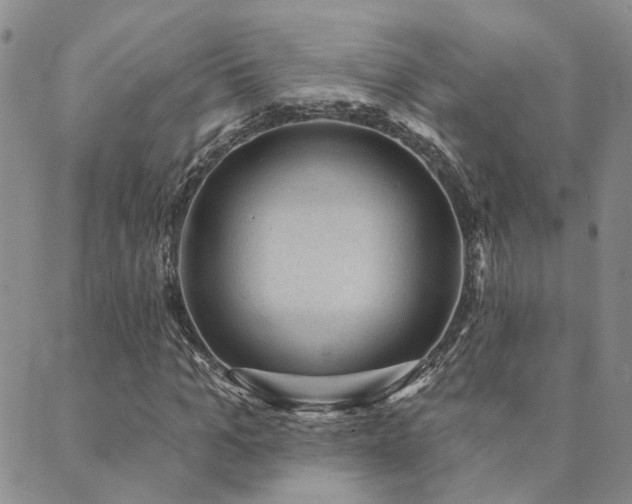 X0000089700965200706211314