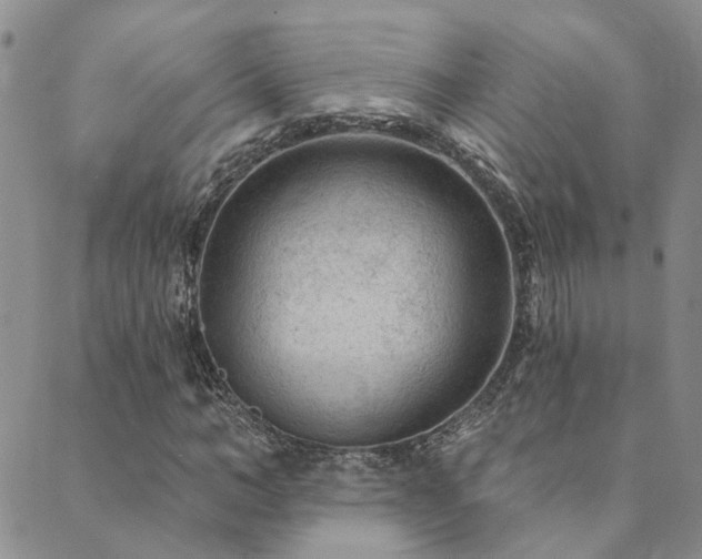 X0000089700966200706211314