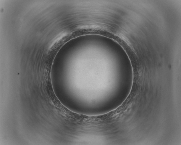 X0000089700967200706211314