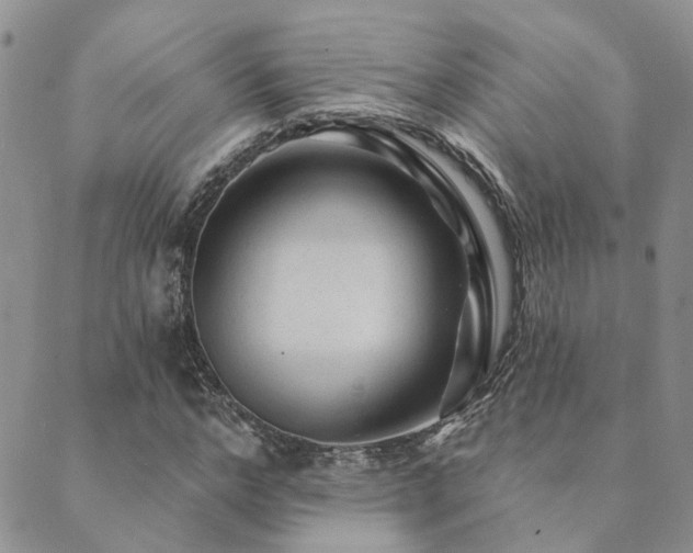 X0000089700968200706211314