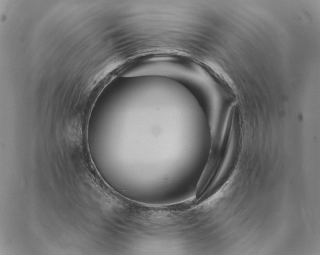 X0000089700969200706211314