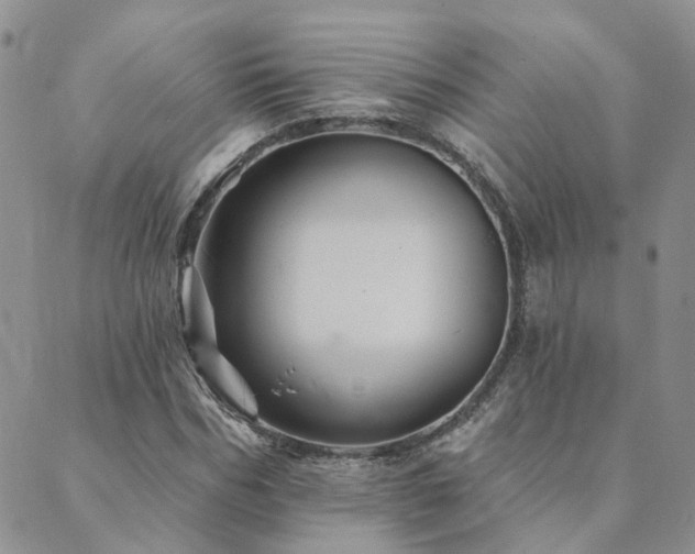 X0000089700970200706211314