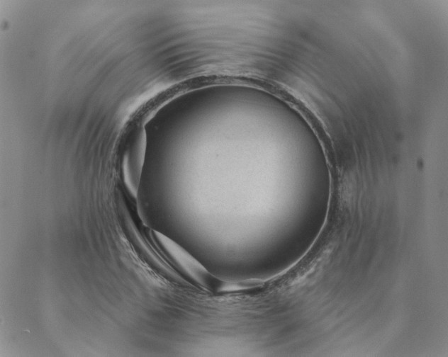 X0000089700971200706211314