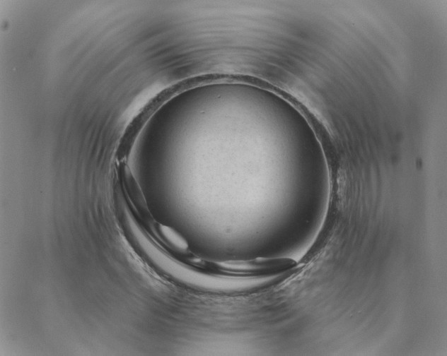 X0000089700972200706211314