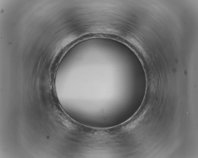 X0000089700974200706211314