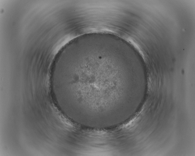 X0000089700975200706211314