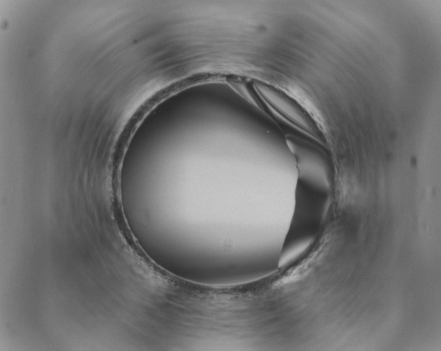 X0000089700976200706211314