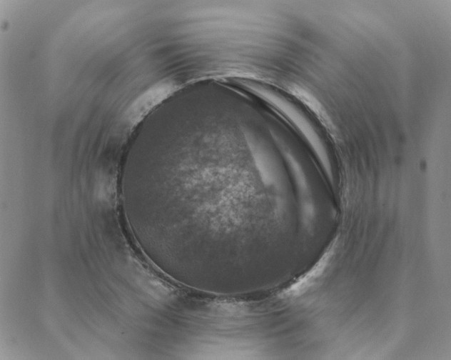 X0000089700977200706211313