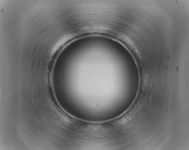 X0000089700978200706211313