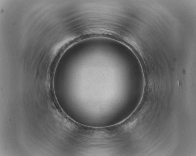 X0000089700979200706211313