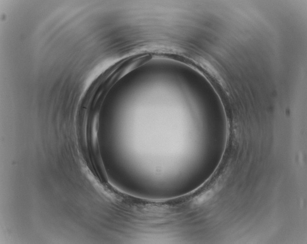 X0000089700981200706211313