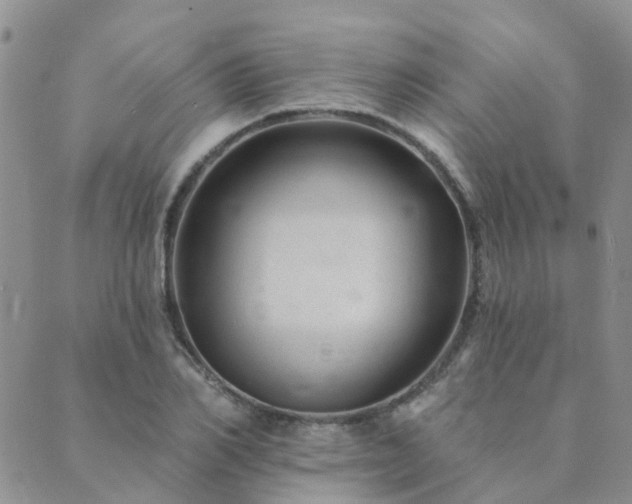 X0000089700982200706211313