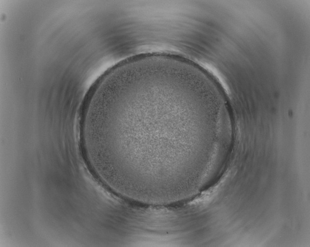 X0000089700983200706211313