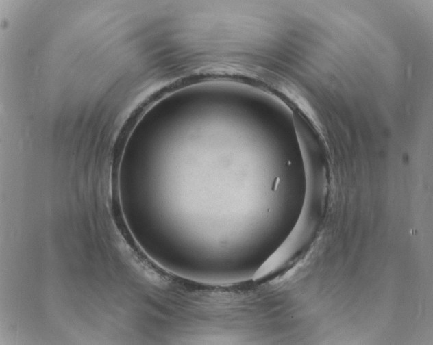 X0000089700984200706211313