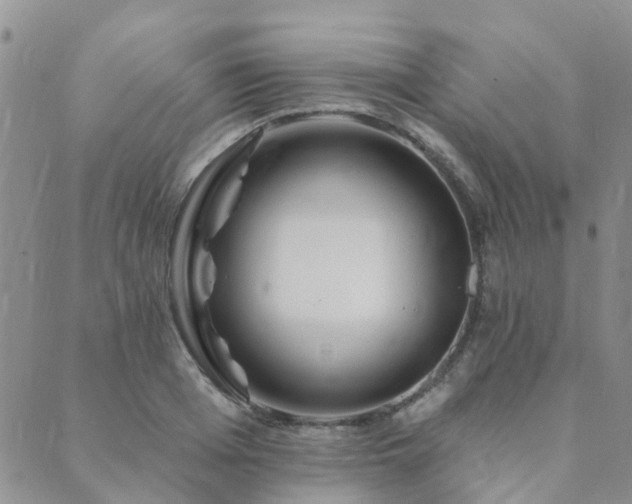 X0000089700985200706211313