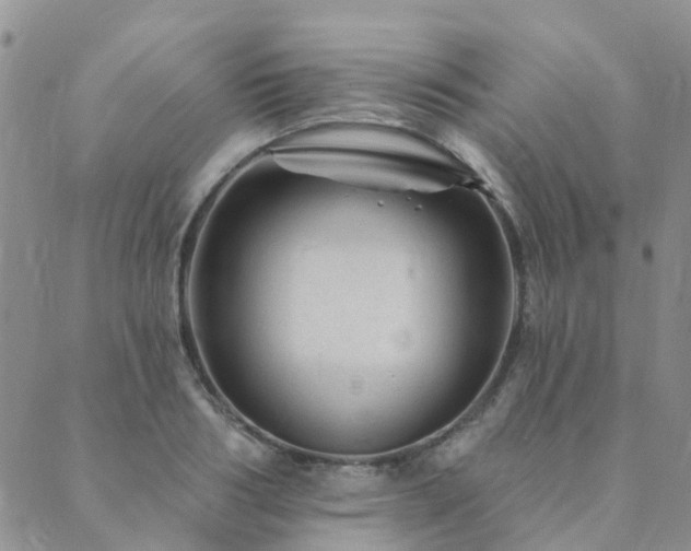 X0000089700986200706211313