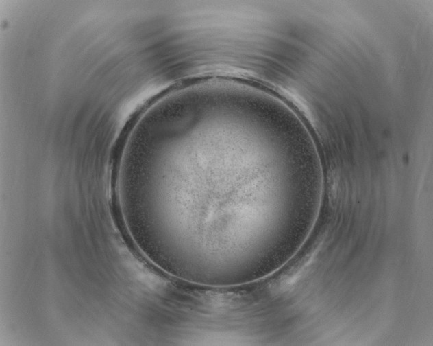 X0000089700987200706211313