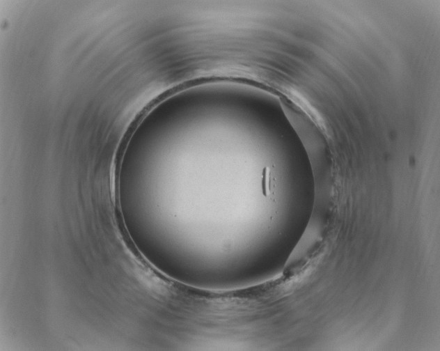 X0000089700988200706211313