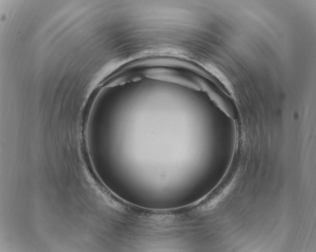 X0000089700989200706211313