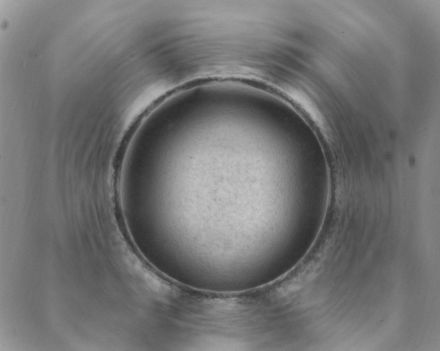 X0000089700990200706211313