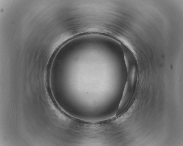 X0000089700991200706211313