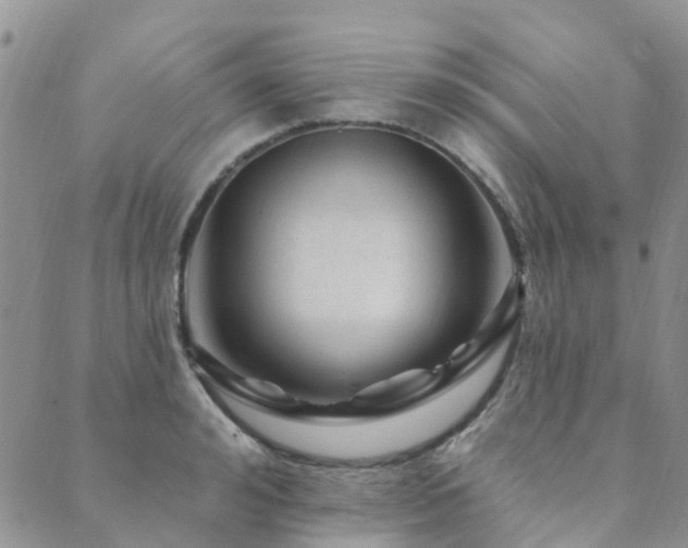 X0000089700992200706211313