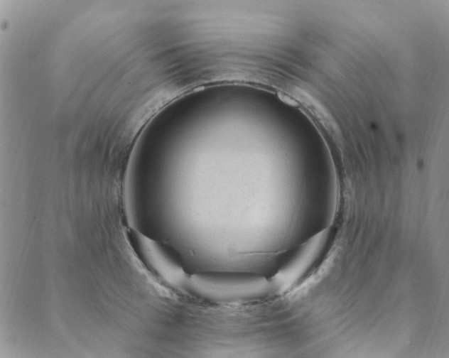 X0000089700993200706211313