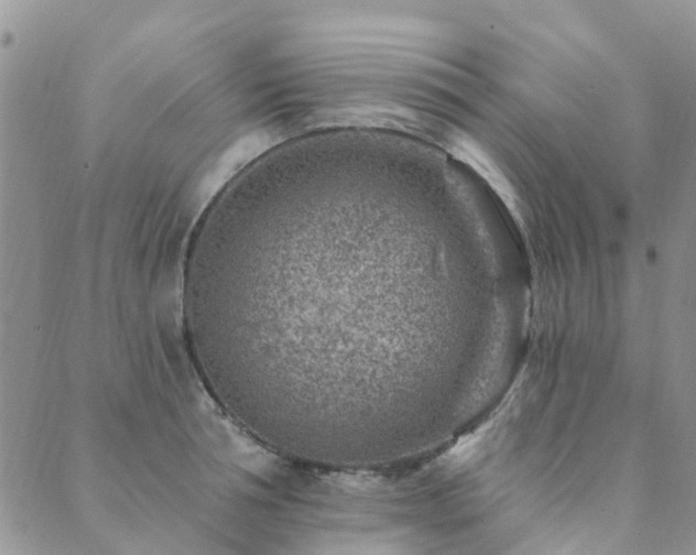 X0000089700994200706211313