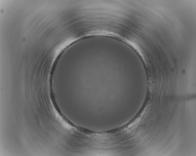 X0000089700995200706211313